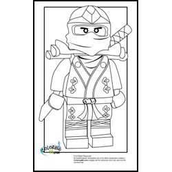 Ninjago #17346