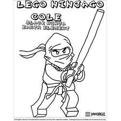 Ninjago #17369