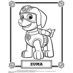 La patrulla canina #17618