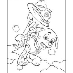 La patrulla canina #17630