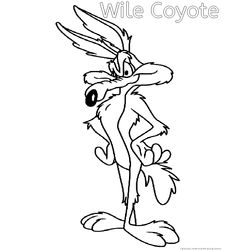 El Coyote y el Correcaminos #18121