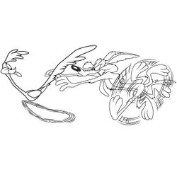 El Coyote y el Correcaminos #18126