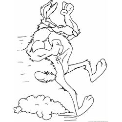 El Coyote y el Correcaminos #18137