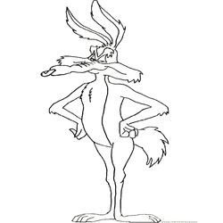 El Coyote y el Correcaminos #18139