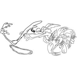 El Coyote y el Correcaminos #18144