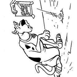 Scooby doo #19023