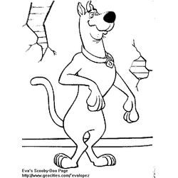 Scooby doo #19031