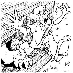 Scooby doo #19033