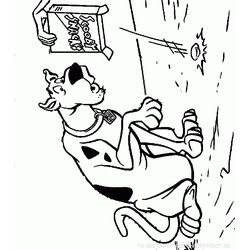 Scooby doo #19045