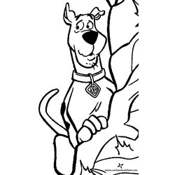 Scooby doo #19084