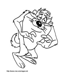 Taz #19880