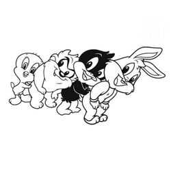 Taz #19886