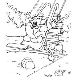 Taz #19889
