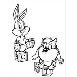 Taz #19894