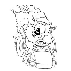 Taz #19903