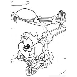 Taz #19904