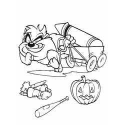 Taz #19914