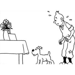 Tintin #20211