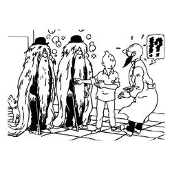Tintin #20213