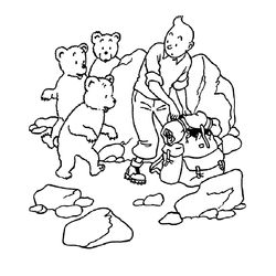 Tintin #20214