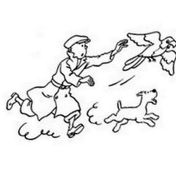 Tintin #20216