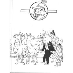 Tintin #20228