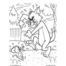 Tom y Jerry #20351