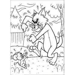 Tom y Jerry #20417