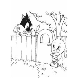 Piolín y Silvestre #20574