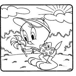 Piolín y Silvestre #20622