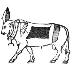 Mitología egipcia #21026