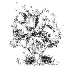Casa del árbol #21842