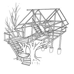 Casa del árbol #21849