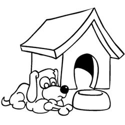 Caseta del perro #21861