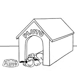 Caseta del perro #21865