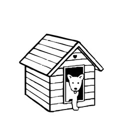 Caseta del perro #21867