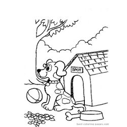 Caseta del perro #21872