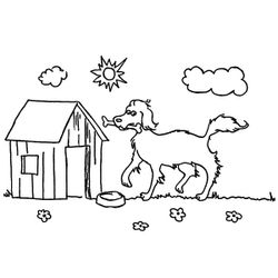 Caseta del perro #21877