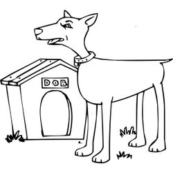 Caseta del perro #21891