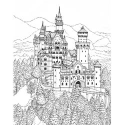 Castillo #21905