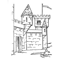 Castillo #21919