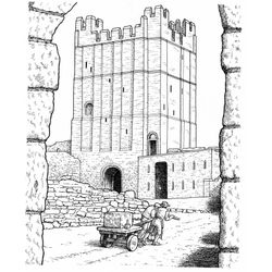 Castillo #21927