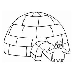 Iglú #22370