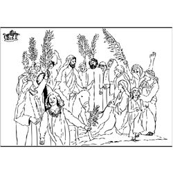 Domingo de ramos #24856