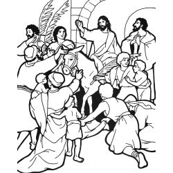 Domingo de ramos #24857