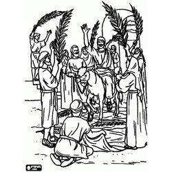 Domingo de ramos #24858