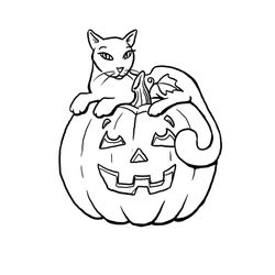 Halloween #24884