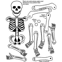 Halloween #24944