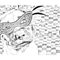 Mardi Gras #25321