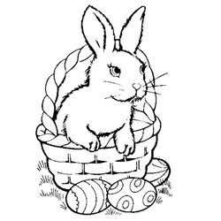 Pascua #25794